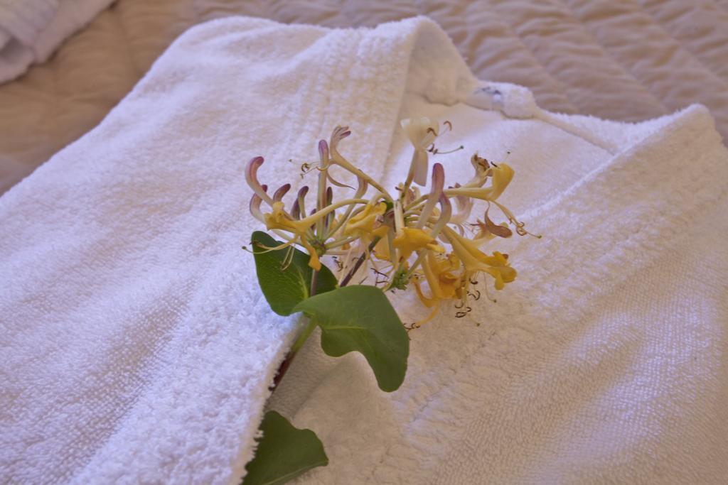 Mare E Monti - Hotel De Charme Feliceto المظهر الخارجي الصورة